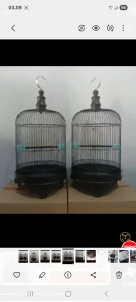 Kandang sangkar love bird kenari jalak kutilang trucuk pentet perkutut