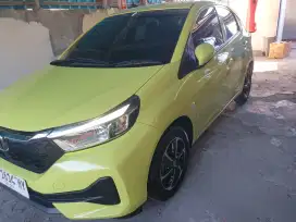 Brio E manual 2024