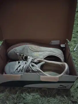 sepatu pria puma suede gum original