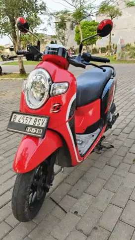 Scoopy stylish Donat 2018