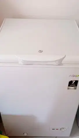 Freezer box aqua 100