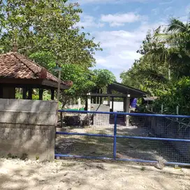 Jual Bangunan dan Tanah Pekarangan cocok untuk Kebun Agribisnis