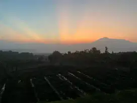 DIJUAL Cepat tanah pribadi no tipu²