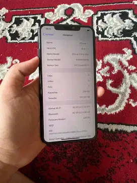 Iphone 11 Pro Max 256