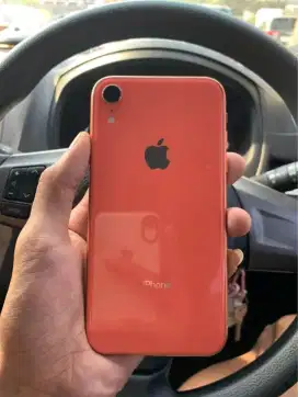 iPhone XR 64GB Coral Mulus Terawat