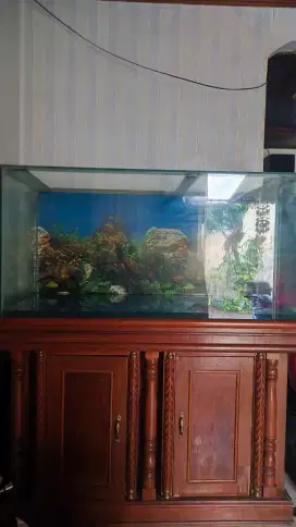 DIJUAL AQUARIUM
