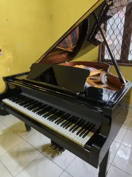 Grand Piano Petrof Type III Made In Ceko