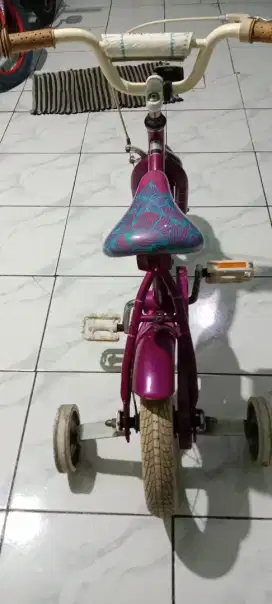 Sepedah anak ukuran 12