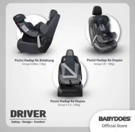 BabyDoes Baby CarSeat.