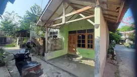 dijual rumah super murah di pedan 227 meter , 190 juta