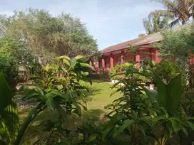 Kolam renang dan sekolah