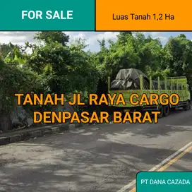 TANAH JL RAYA CARGO DENPASAR BARAT 1,2 HA