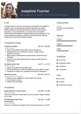 Jasa Pembuatan CV (Curriculum Vitae) Professional
