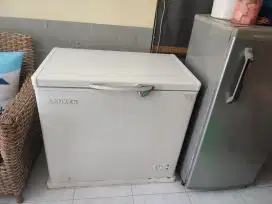 Freezer Sanken 200L