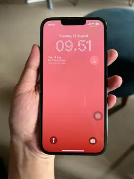 Iphone 13 Pro Max 128 GB