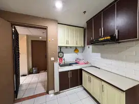 Apartment Palm Mansion (2 BR)