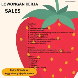 Lowongan Sales untuk buah import