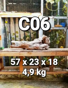 Kayu Santigi Laut Asli Kayu Tenggelam Hiasan Aquarium