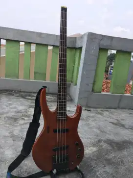 Bass hohner headless