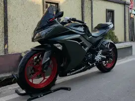 Kawasaki Ninja 250 Abs 2016