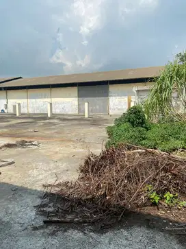 Disewakan tanah Jl kapuk kamal raya