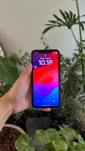 Iphone XR ex Inter