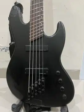 Delicore Bass 5-strings (boutique for metal/rock)