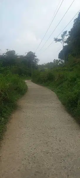 Jual Murah Tanah Kebun Sukajaya Bogor