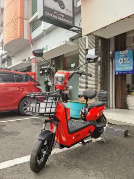E-Bike Tora T030