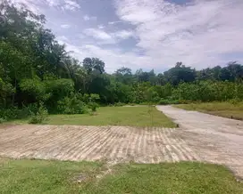 Tanah Panjatan Dekat Exit Tol Wates-Jogja