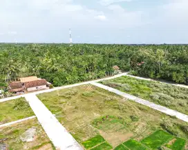 Tanah Kumpulsari Purworejo Dekat Pantai Jati Malang