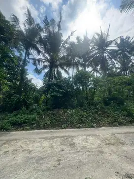 DI JUAL TANAH DEKAT DENGAN PANTAI PANTAI BALIAN HIDDEN GEM BALI