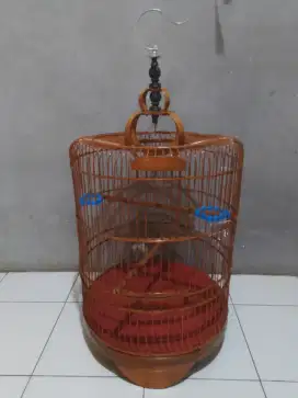 sangkar kacer tarik plistur coklat