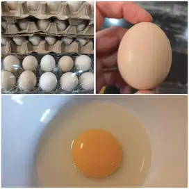 Telur Ayam Kampung