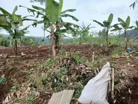 Di Jual lahan pertanian