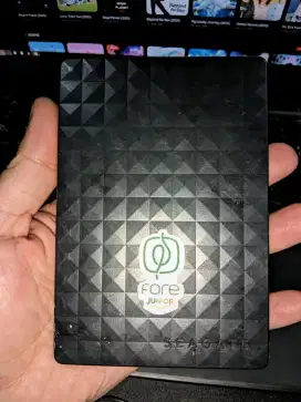 HDD EKSTERNAL SEAGATE