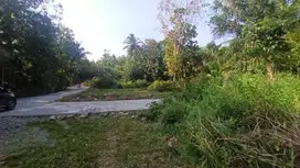 Legalitas SHMP, Jual Tanah Dekat Bandara YIA, Yogyakarta