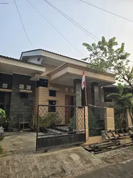 Rumah 1 Lantai Renov Rapih Terawat di Griya Loka BSD City