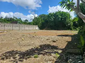 Dijual Tanah Strategis di Ubud, Tegallalang, Gianyar, Bali.
