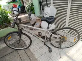 Sepeda second wimcycle road champ