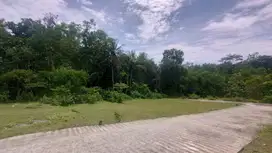 TERMURAH, Tanah 1 JUTAAN, Legalitas AMAN, Jogja
