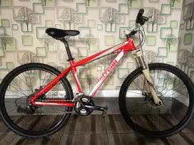 MTB Polygon xtrada 4.0