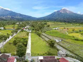 Dekat Candi Borobudur,Lokasi Tanah TERBAIK di Magelang