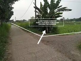 TANAH MURAH STRATEGIS DI DESA PABUARAN KECAMATAN KEMANG BOGOR
