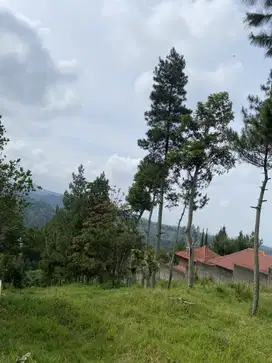 Tanah dago giri disebelah cottage cocok untuk villa