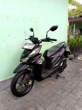 Honda Bear Street Th.2024 Low km 8rb!!