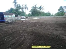 Profit 30 Pertahun, Kavling Investasi Hunian.
