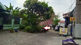 Tanah Tunjungsekar Lowokwaru Malang Kota Ikan Gurami Dijual murah B.U