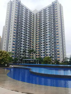 Disewakan Apartement Springlake FULLY FURNISHED Tower Elodea di SMB
