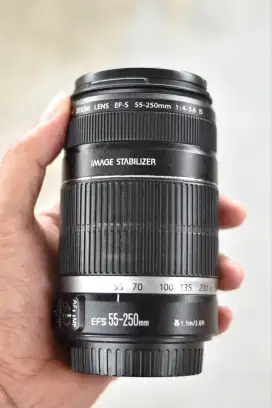 Lensa Tele Canon 55-250mm Murah meriah